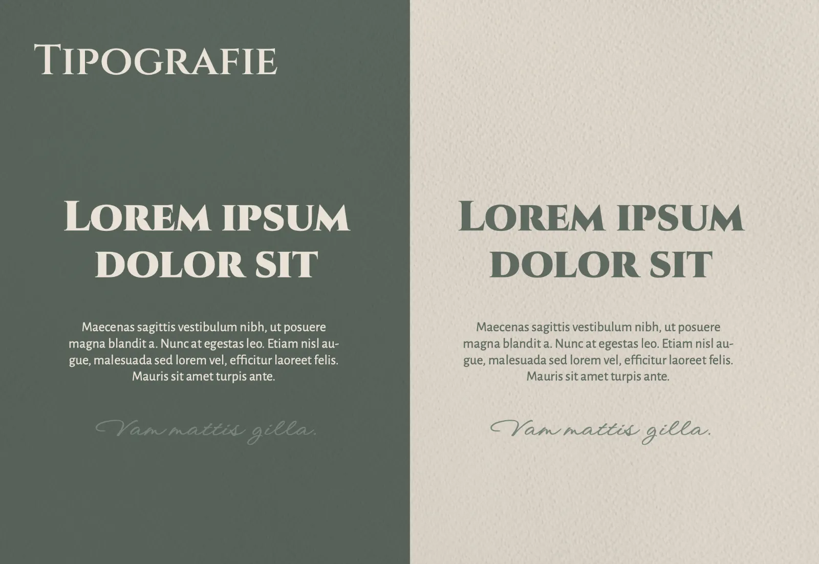 Prezentare proiect